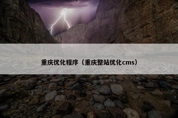 重庆优化程序（重庆整站优化cms）