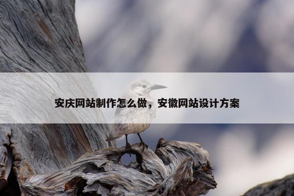 安庆网站制作怎么做，安徽网站设计方案
