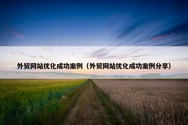 外贸网站优化成功案例（外贸网站优化成功案例分享）