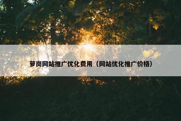 萝岗网站推广优化费用（网站优化推广价格）