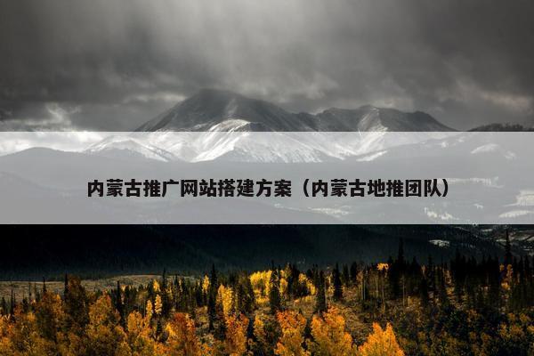 内蒙古推广网站搭建方案（内蒙古地推团队）