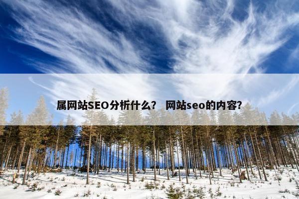 属网站SEO分析什么？ 网站seo的内容？