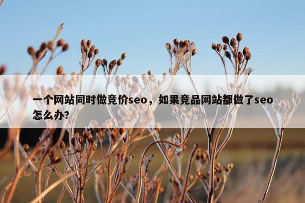 一个网站同时做竞价seo，如果竞品网站都做了seo怎么办?