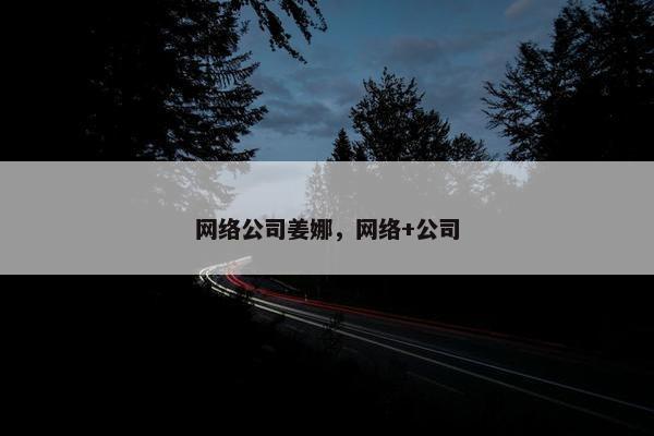 网络公司姜娜，网络+公司