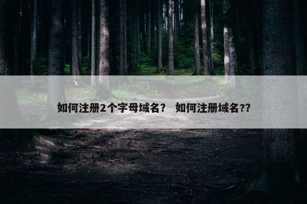 如何注册2个字母域名？ 如何注册域名?？