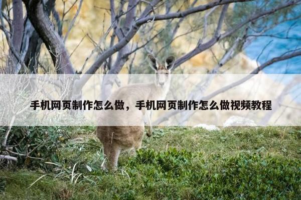 手机网页制作怎么做，手机网页制作怎么做视频教程