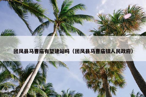 团风县马曹庙有望建站吗（团风县马曹庙镇人民政府）