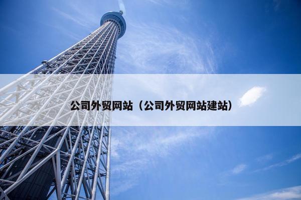 公司外贸网站（公司外贸网站建站）