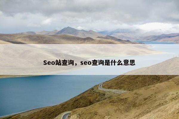 Seo站查询，seo查询是什么意思