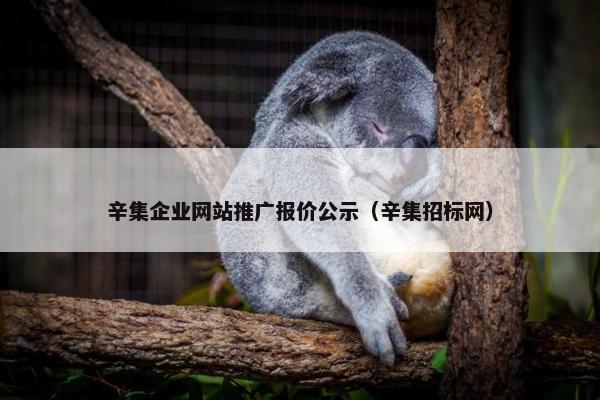 辛集企业网站推广报价公示（辛集招标网）