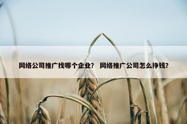 网络公司推广找哪个企业？ 网络推广公司怎么挣钱？