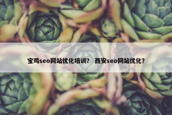 宝鸡seo网站优化培训？ 西安seo网站优化？