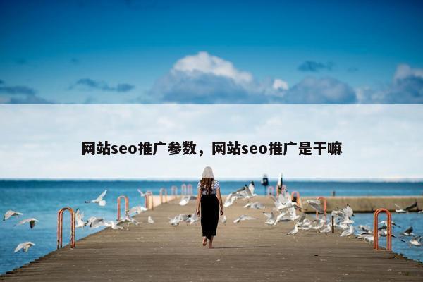 网站seo推广参数，网站seo推广是干嘛