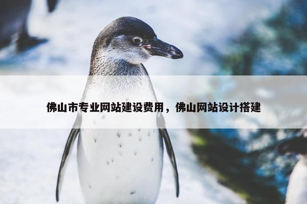 佛山市专业网站建设费用，佛山网站设计搭建