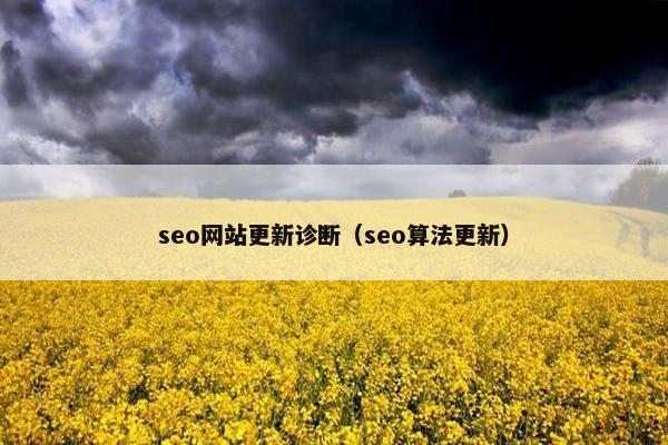 seo网站更新诊断（seo算法更新）