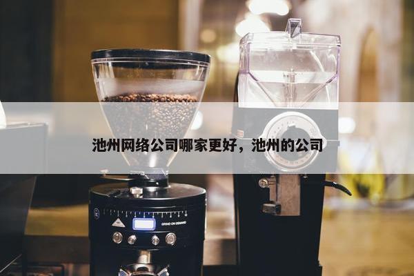 池州网络公司哪家更好，池州的公司
