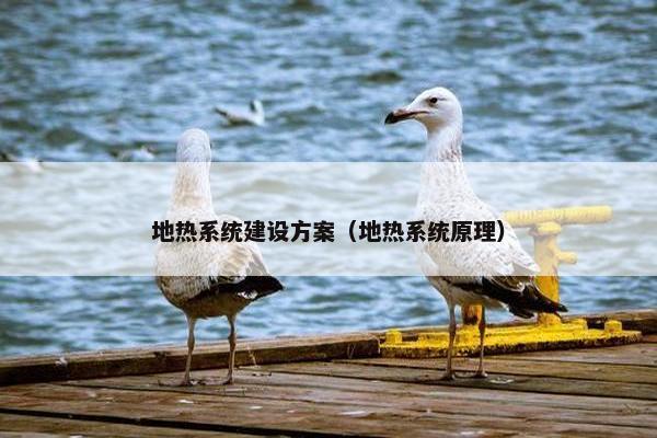 地热系统建设方案（地热系统原理）