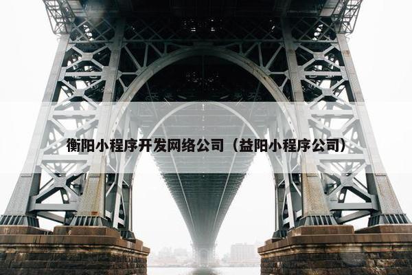 衡阳小程序开发网络公司（益阳小程序公司）