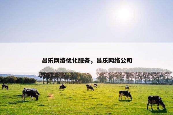 昌乐网络优化服务，昌乐网络公司