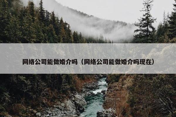 网络公司能做婚介吗（网络公司能做婚介吗现在）