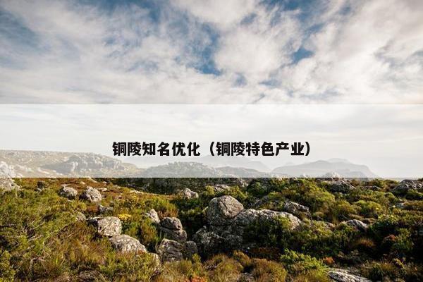 铜陵知名优化（铜陵特色产业）