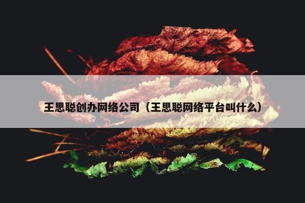 王思聪创办网络公司（王思聪网络平台叫什么）