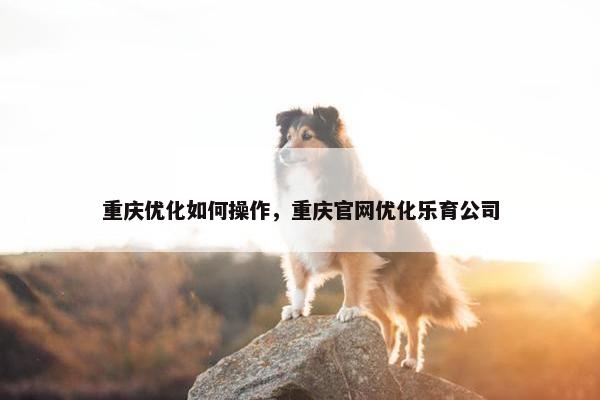重庆优化如何操作，重庆官网优化乐育公司