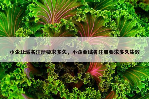 小企业域名注册要求多久，小企业域名注册要求多久生效