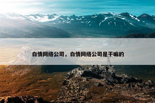 白情网络公司，白情网络公司是干嘛的