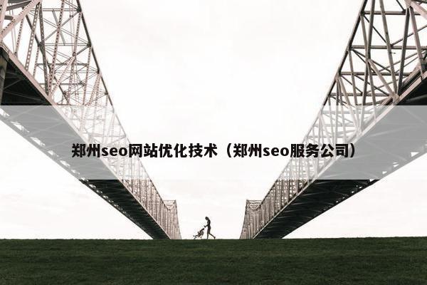 郑州seo网站优化技术（郑州seo服务公司）