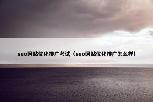 seo网站优化推广考试（seo网站优化推广怎么样）