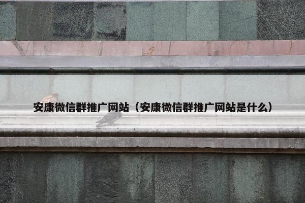 安康微信群推广网站（安康微信群推广网站是什么）