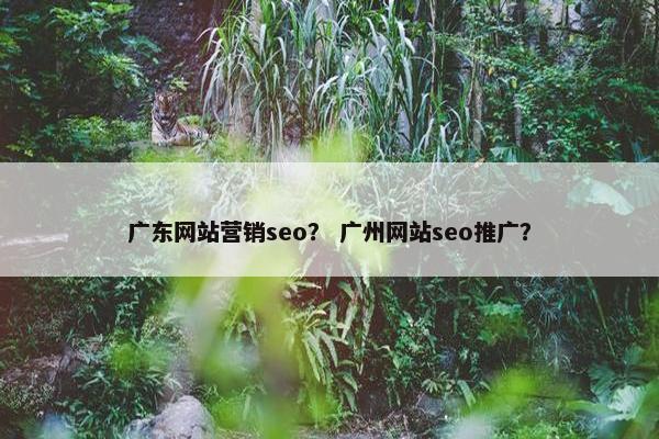广东网站营销seo？ 广州网站seo推广？