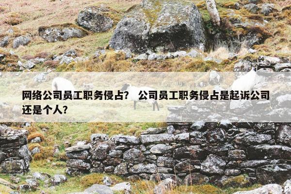 网络公司员工职务侵占？ 公司员工职务侵占是起诉公司还是个人？