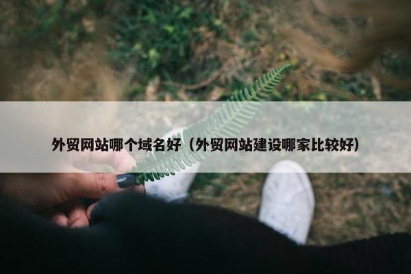外贸网站哪个域名好（外贸网站建设哪家比较好）