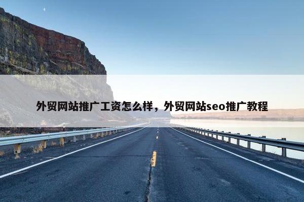 外贸网站推广工资怎么样，外贸网站seo推广教程