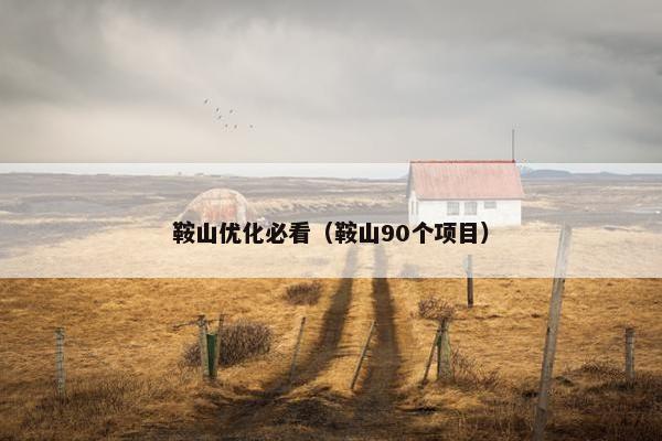 鞍山优化必看（鞍山90个项目）