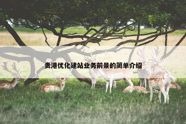 贵港优化建站业务前景的简单介绍