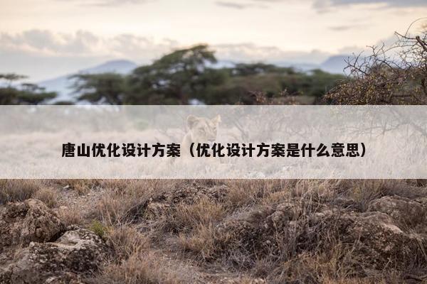 唐山优化设计方案（优化设计方案是什么意思）