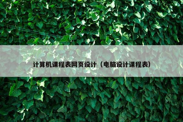 计算机课程表网页设计（电脑设计课程表）