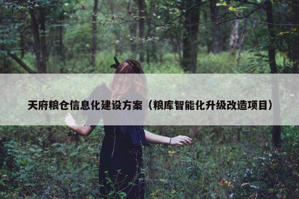 天府粮仓信息化建设方案（粮库智能化升级改造项目）