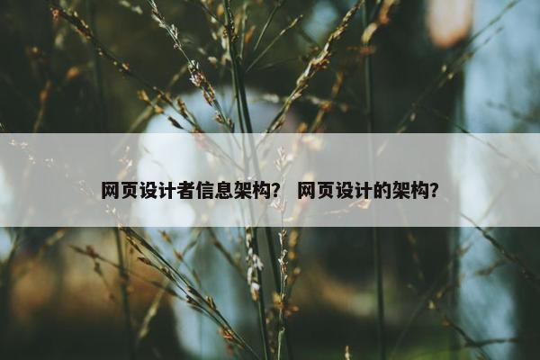 网页设计者信息架构？ 网页设计的架构？
