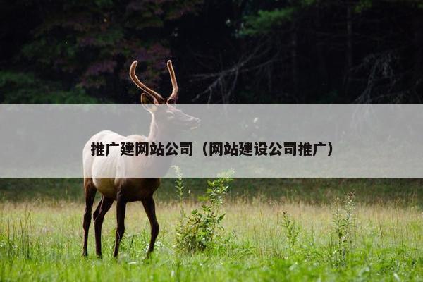 推广建网站公司（网站建设公司推广）