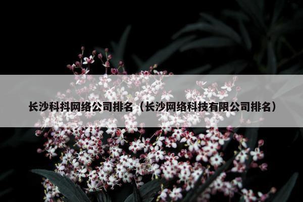 长沙科抖网络公司排名（长沙网络科技有限公司排名）