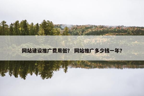网站建设推广费用低？ 网站推广多少钱一年？