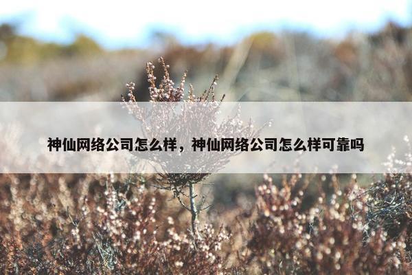 神仙网络公司怎么样，神仙网络公司怎么样可靠吗