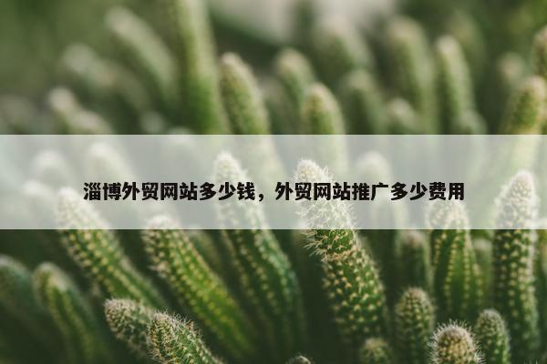 淄博外贸网站多少钱，外贸网站推广多少费用
