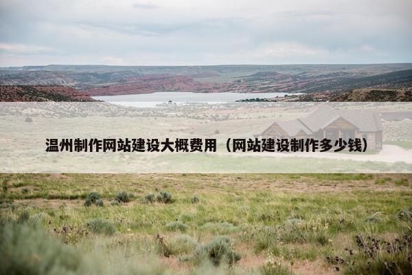 温州制作网站建设大概费用（网站建设制作多少钱）