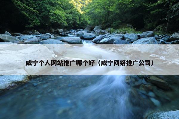 咸宁个人网站推广哪个好（咸宁网络推广公司）