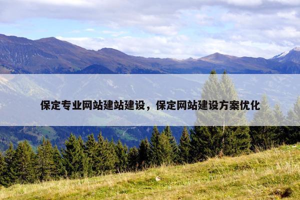 保定专业网站建站建设，保定网站建设方案优化